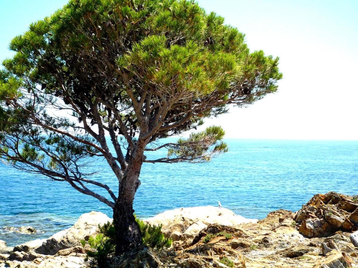 Caseta De Pescadors A Les Cales De Colera, 2ª Linea De Mar מראה חיצוני תמונה